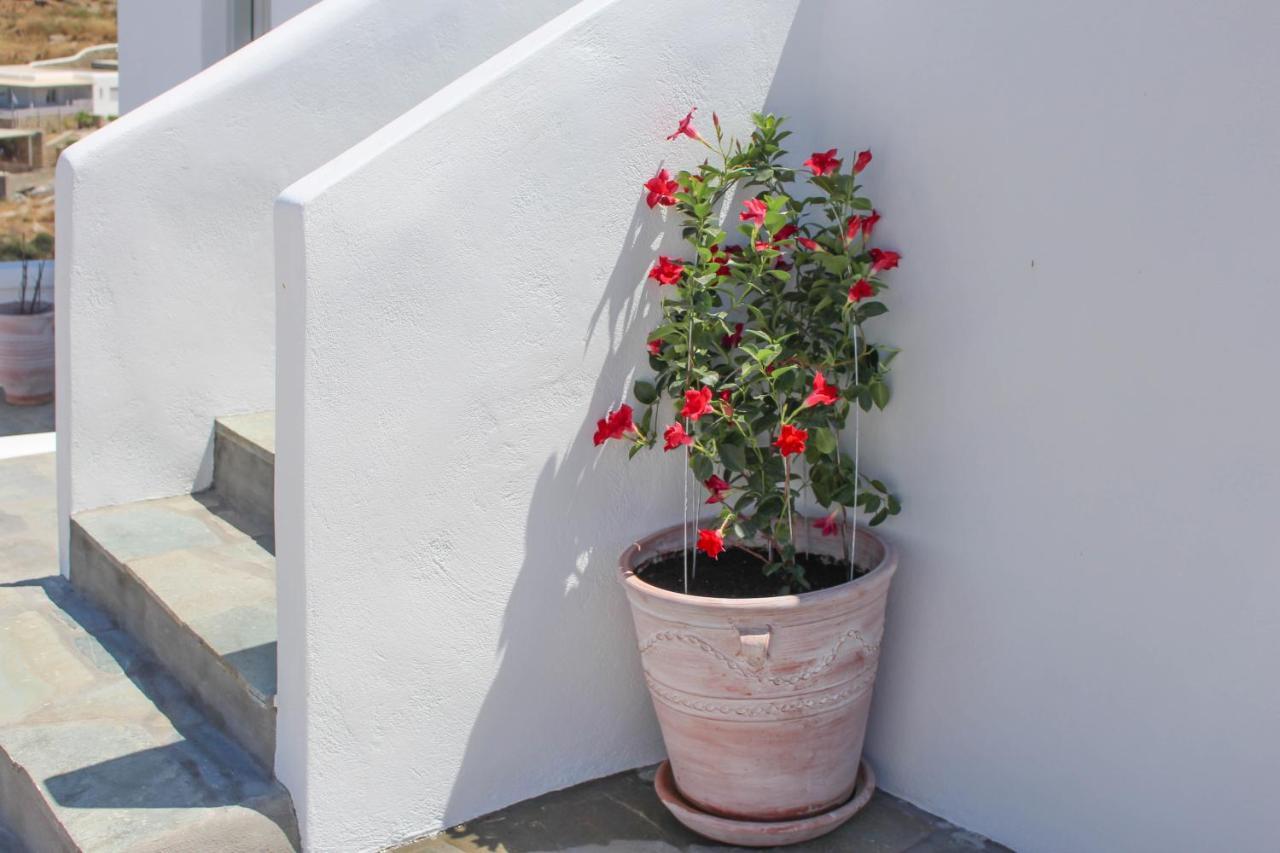 Crystal View Mykonos Aparthotel Mykonos Town Kültér fotó